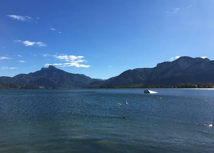 Meindl Elfi An Der Drachenwand 44 * Mondsee