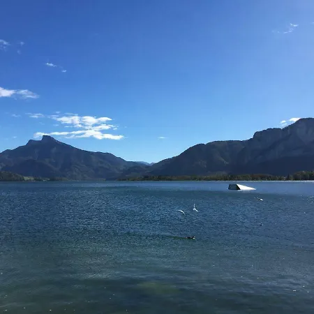 Meindl Elfi An Der Drachenwand 44 * Mondsee